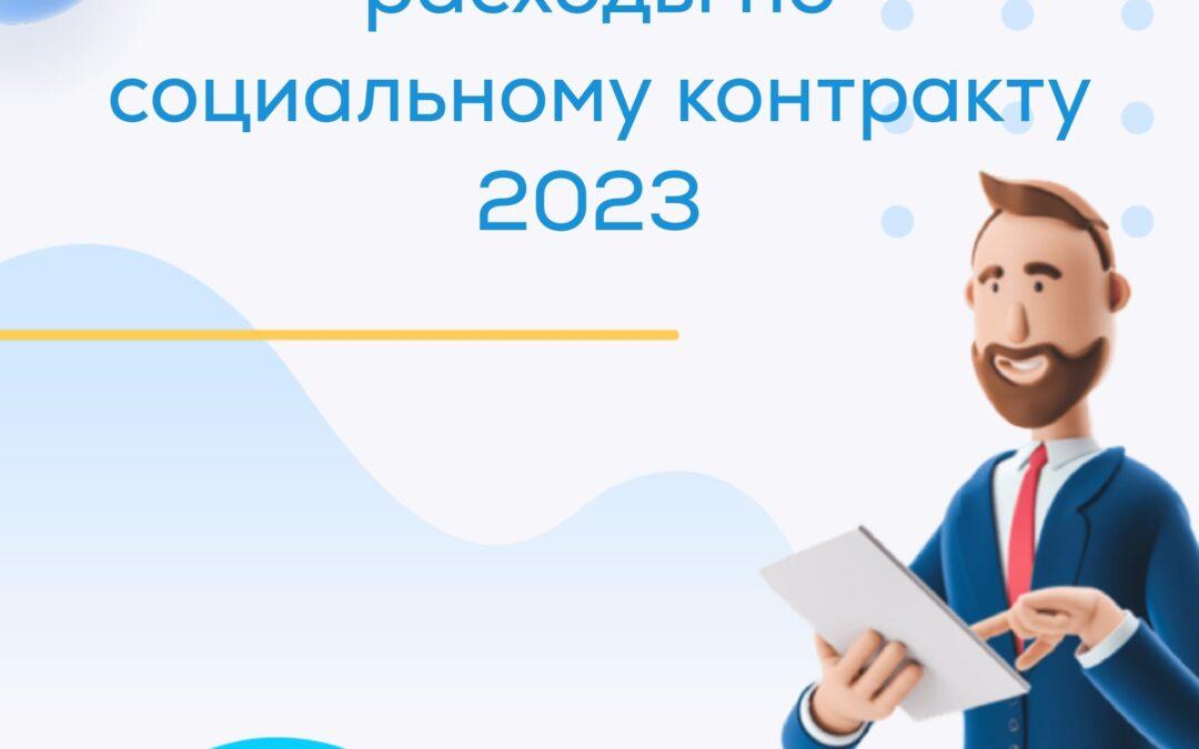 Смета и разрешенные расходы по социальному контракту 2023