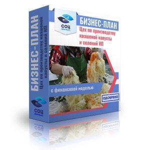 Бизнес-план "Открытие цеха по производству квашеной капусты и солений"