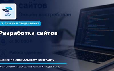 Разработка сайтов как бизнес по социальному контракту