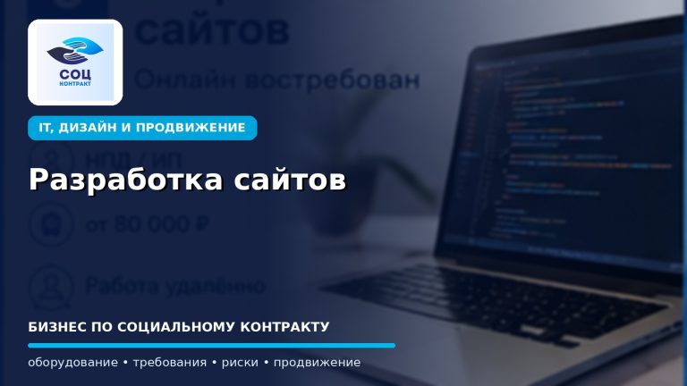 Разработка сайтов как бизнес по социальному контракту