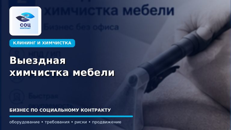 Выездная химчистка мебели как бизнес по социальному контракту
