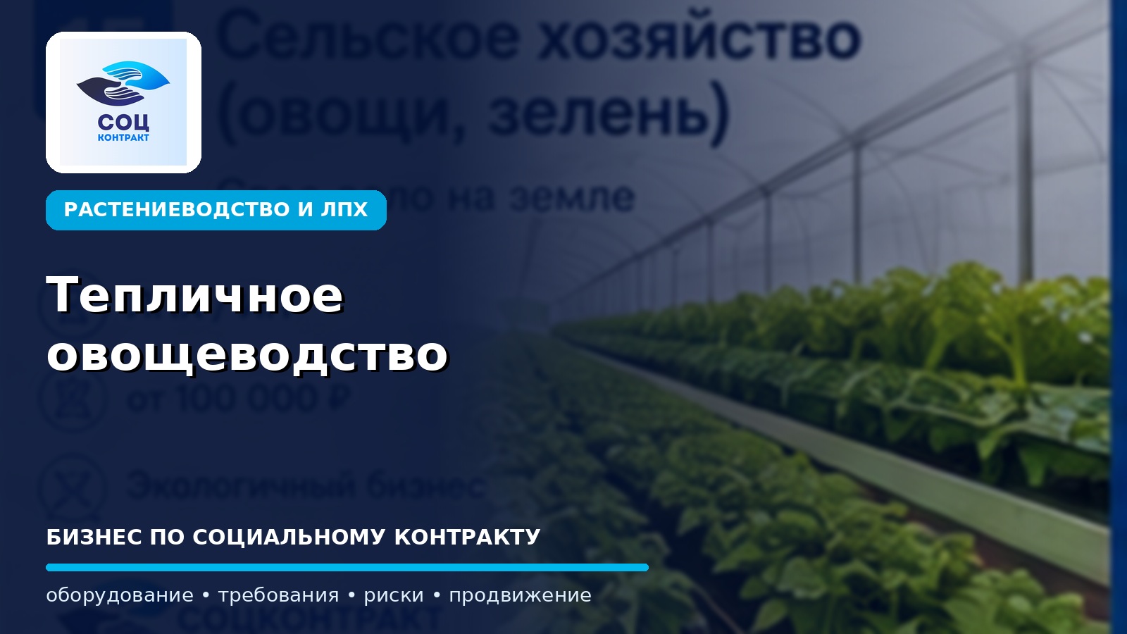 Тепличное овощеводство как бизнес по социальному контракту