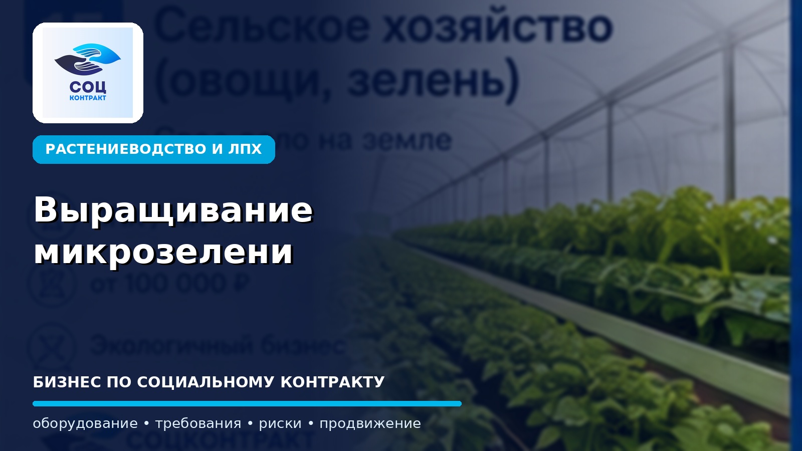 Выращивание микрозелени как бизнес по социальному контракту