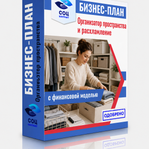 Бизнес-план «Организатор пространства и расхламление»