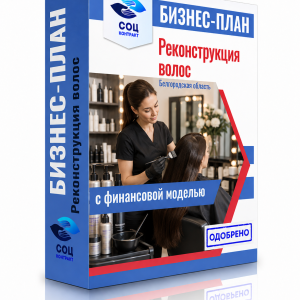 Бизнес-план «Реконструкция волос — Строитель, Белгородская область»