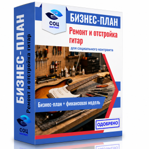 Бизнес-план «Ремонт и отстройка гитар и струнных инструментов»,