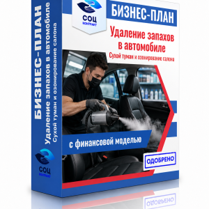 Бизнес-план «Сухой туман и озонирование салона автомобиля»