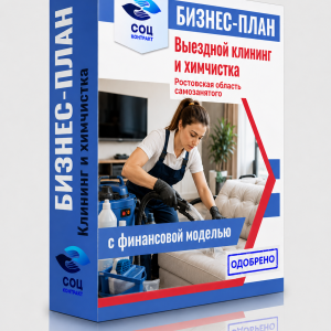 Бизнес-план «Выездной клининг и химчистка — Пермский край»