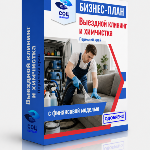 Бизнес-план «Выездной клининг и химчистка — Ростовская область»