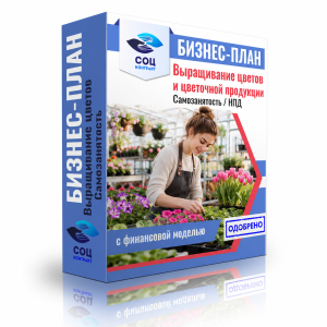 Бизнес-план выращивание цветов