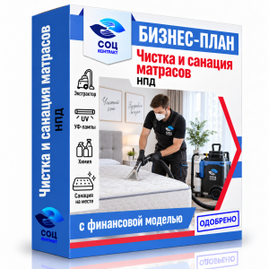 Бизнес-план «Чистка и санация матрасов»