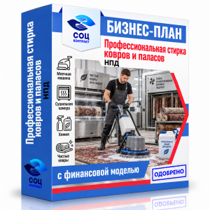 Бизнес-план «Профессиональная стирка ковров и паласов»