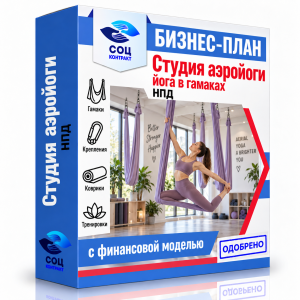 Бизнес-план «Студия аэройоги — йога в гамаках»