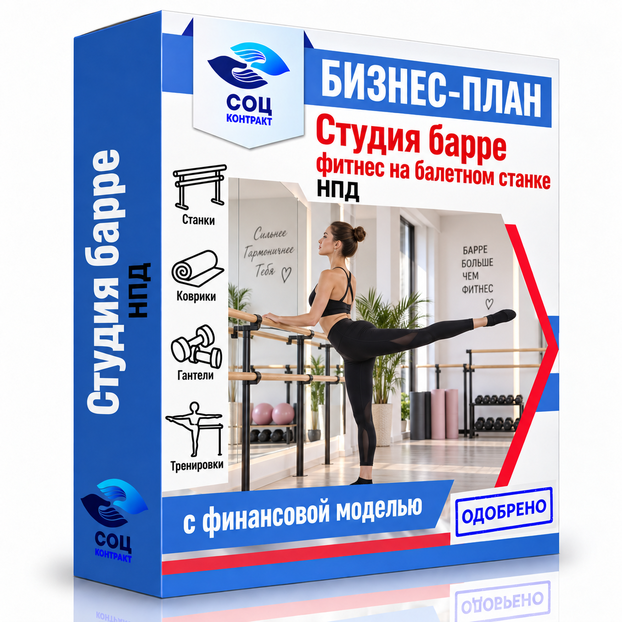 Студия барре фитнес балет Бизнес-план «Студия барре (фитнес на балетном станке)»