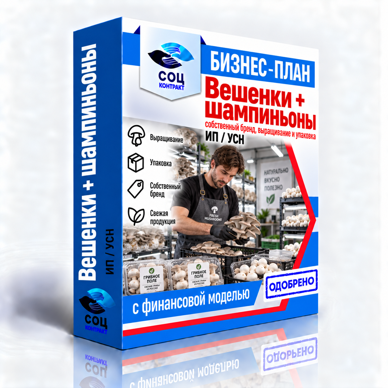 Вешенки и шампиньоны бизнес Бизнес-план «Выращивание вешенок и шампиньонов с упаковкой под собственным брендом»