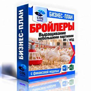Бройлеры небольшими партиями — бизнес-план для соцконтракта с финансовой моделью