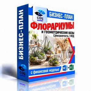 Флорариумы и геометрические вазы — бизнес-план для соцконтракта с финансовой моделью