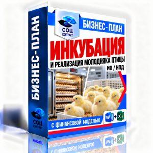 Инкубация и реализация молодняка птицы — бизнес-план для социального контракта с финмоделью, ИП НПД
