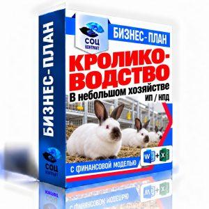 Кролиководство в небольшом хозяйстве — бизнес-план с финансовой моделью для социального контракта, ИП НПД
