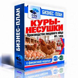 Куры-несушки и производство пищевого яйца — бизнес-план с финансовой моделью для соцконтракта