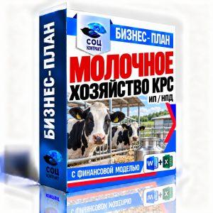 Небольшое молочное хозяйство КРС — бизнес-план для социального контракта с финансовой моделью, ИП НПД