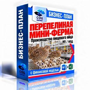 Перепелиная мини-ферма — бизнес-план с финансовой моделью для социального контракта, ИП НПД