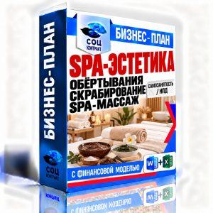 SPA-эстетика: обёртывания, скрабирование и SPA-массаж — бизнес-план с финансовой моделью, НПД