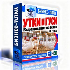 Выращивание уток и гусей на мясо — бизнес-план для социального контракта с финансовой моделью, ИП НПД