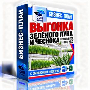 Выгонка зелёного лука и чеснока круглый год — бизнес-план для социального контракта с финмоделью, ИП НПД