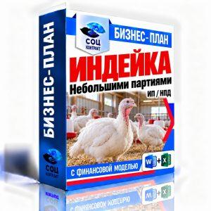 Выращивание индейки небольшими партиями — бизнес-план для социального контракта с финансовой моделью, ИП НПД