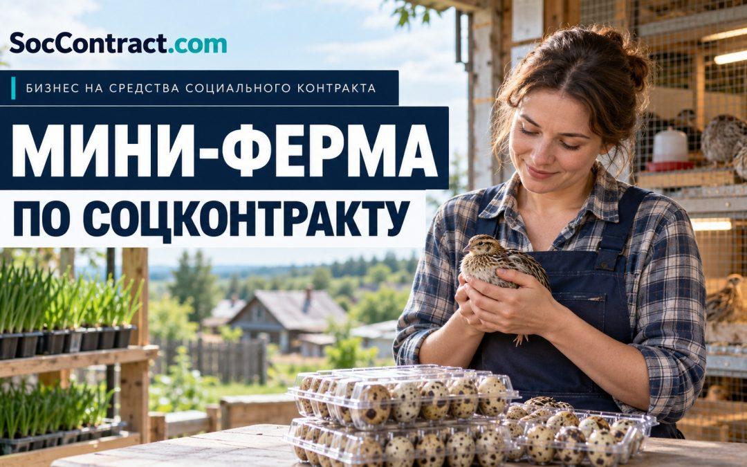 Мини-ферма по соцконтракту: птица, яйца и зелень — SocContract.com